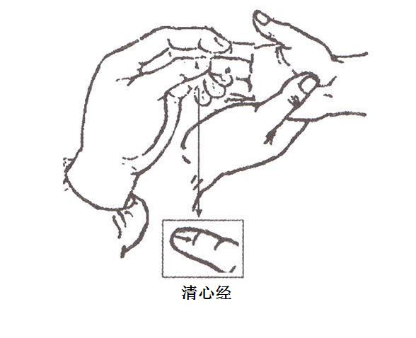 高级小儿推拿教程：小儿日常推拿保健之清心经